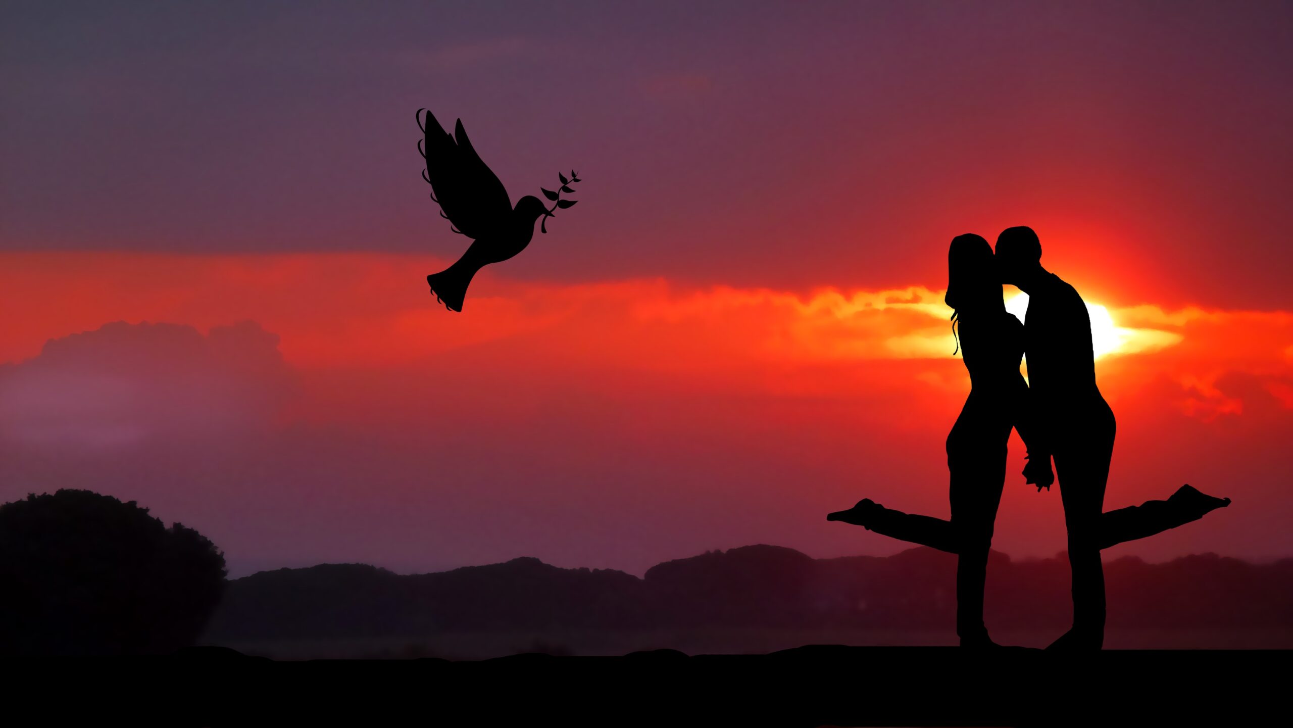couple-together-romantic-sunrise-dove-silhouette-4320x2432-1713